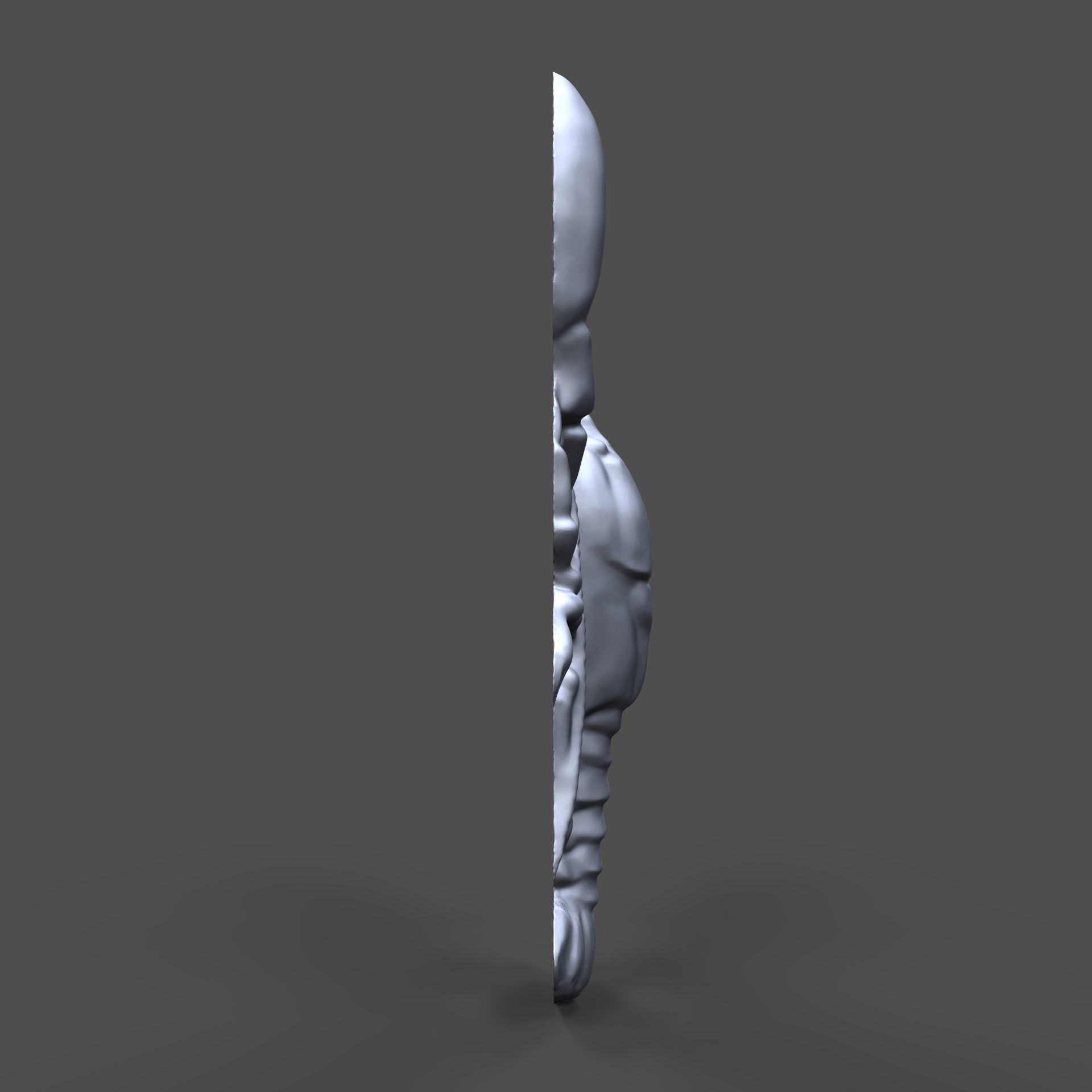 Crayfish bas relief for CNC 3D print model_4