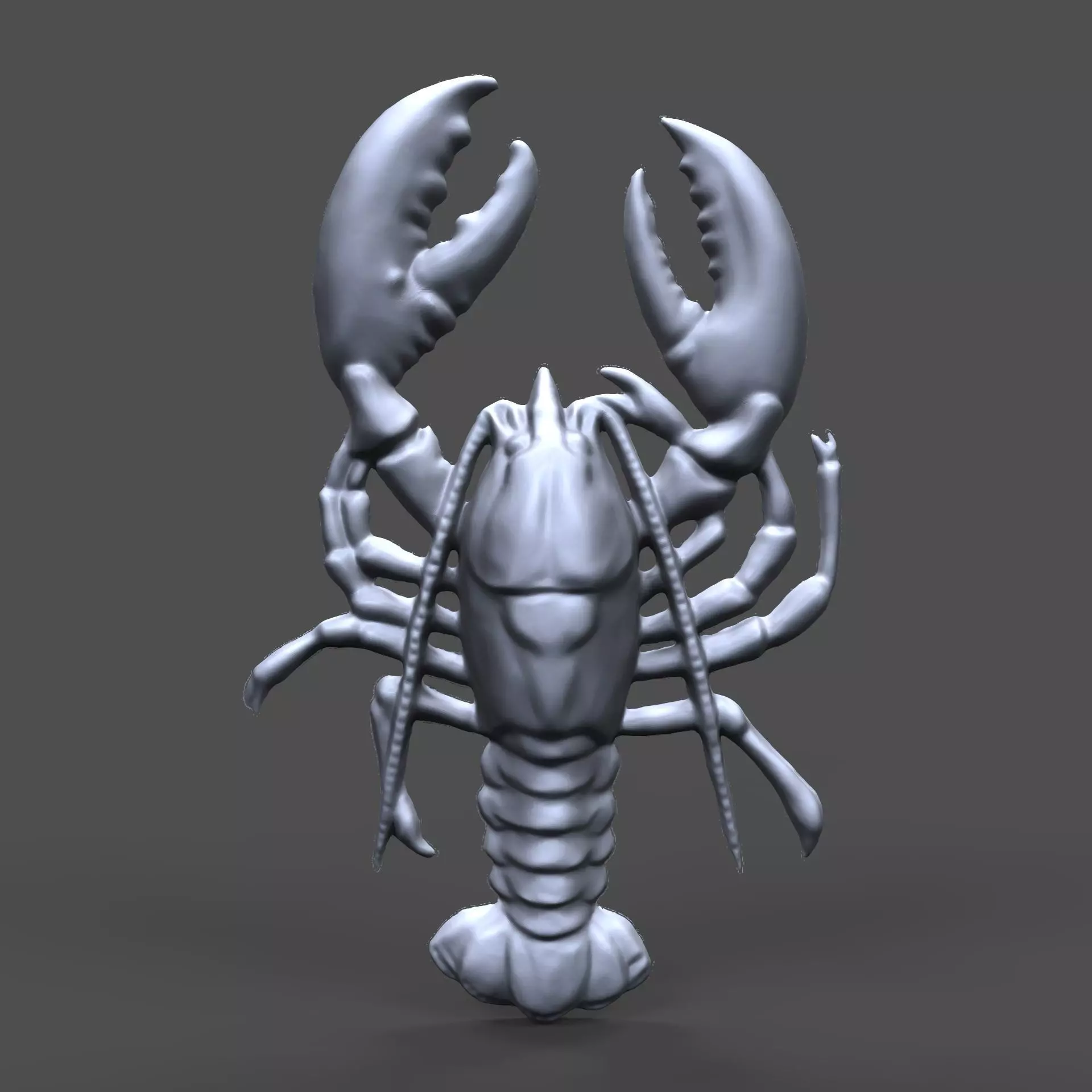 Crayfish bas relief for CNC 3D print model_0