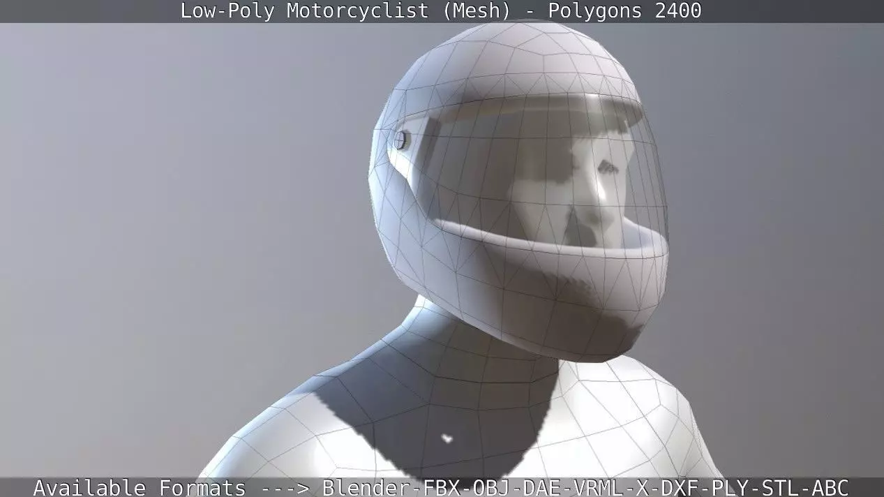 Lowpoly Motorcyclist - Mesh Low-poly 3D model_0