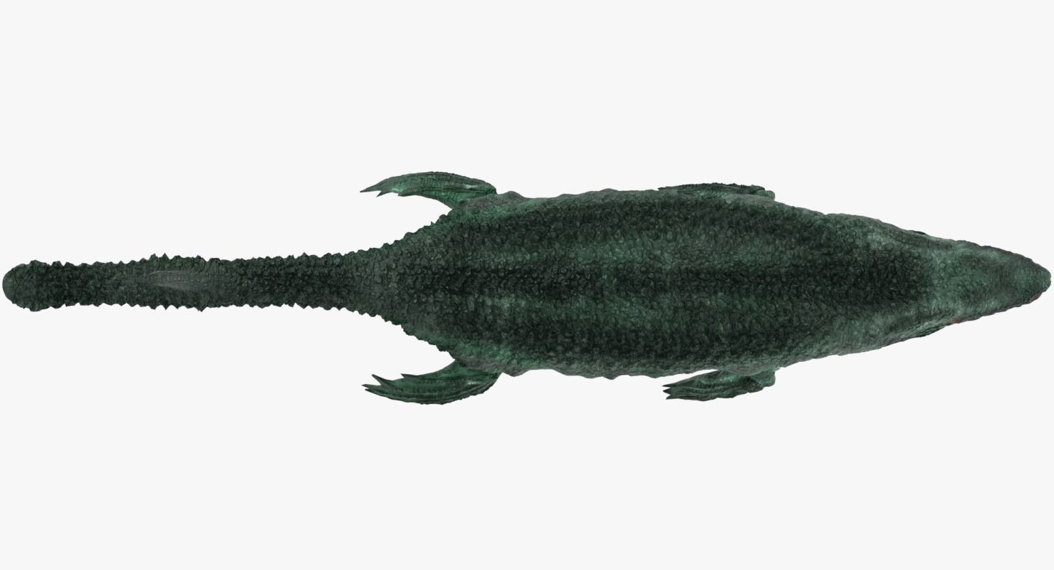 Mosasaur sea creature Low-poly 3D model_6