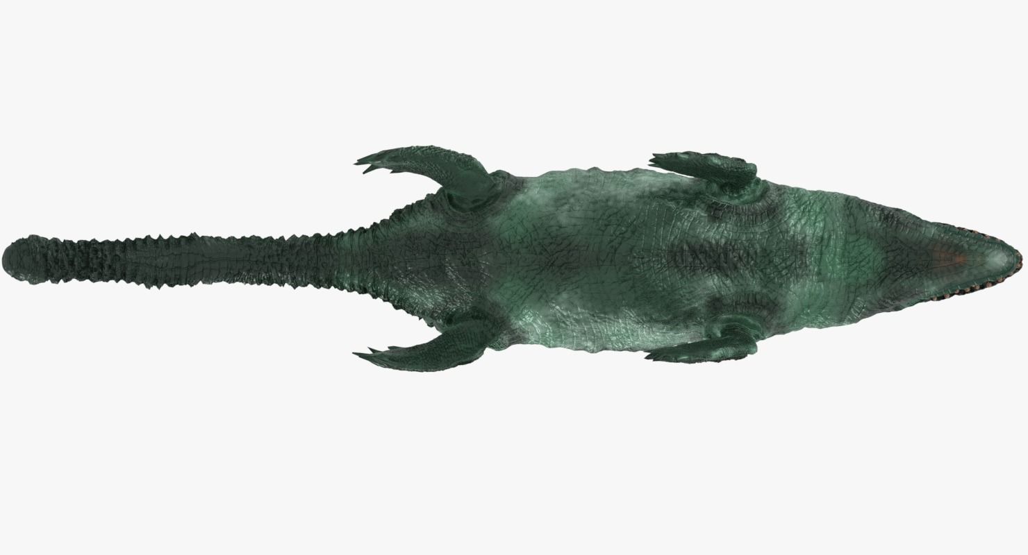 Mosasaur sea creature Low-poly 3D model_8