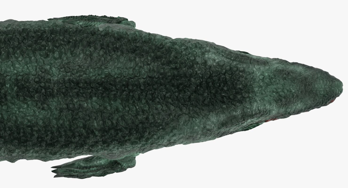 Mosasaur sea creature Low-poly 3D model_7