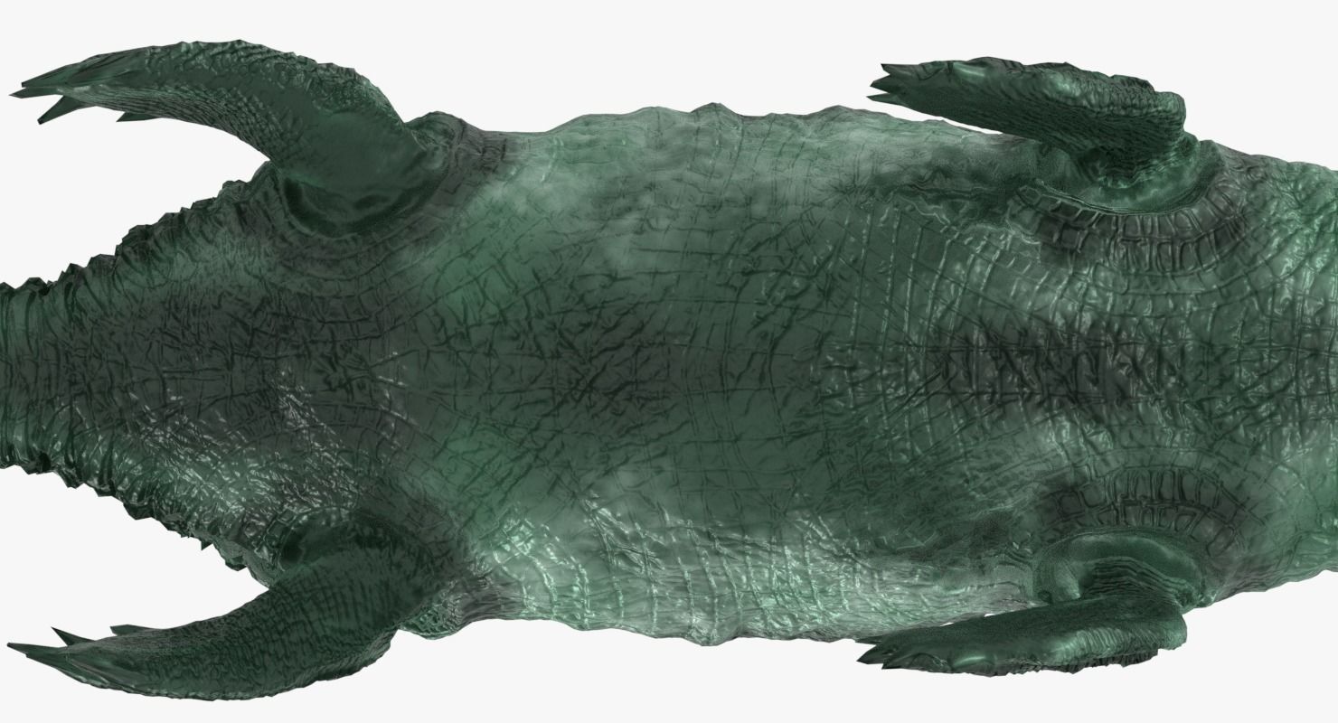 Mosasaur sea creature Low-poly 3D model_9