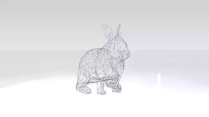 Rabbit Wireframe