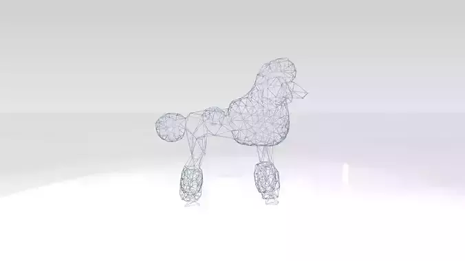 Poodle Wireframe 3D model