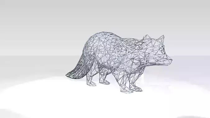 Raccoon Wireframe
