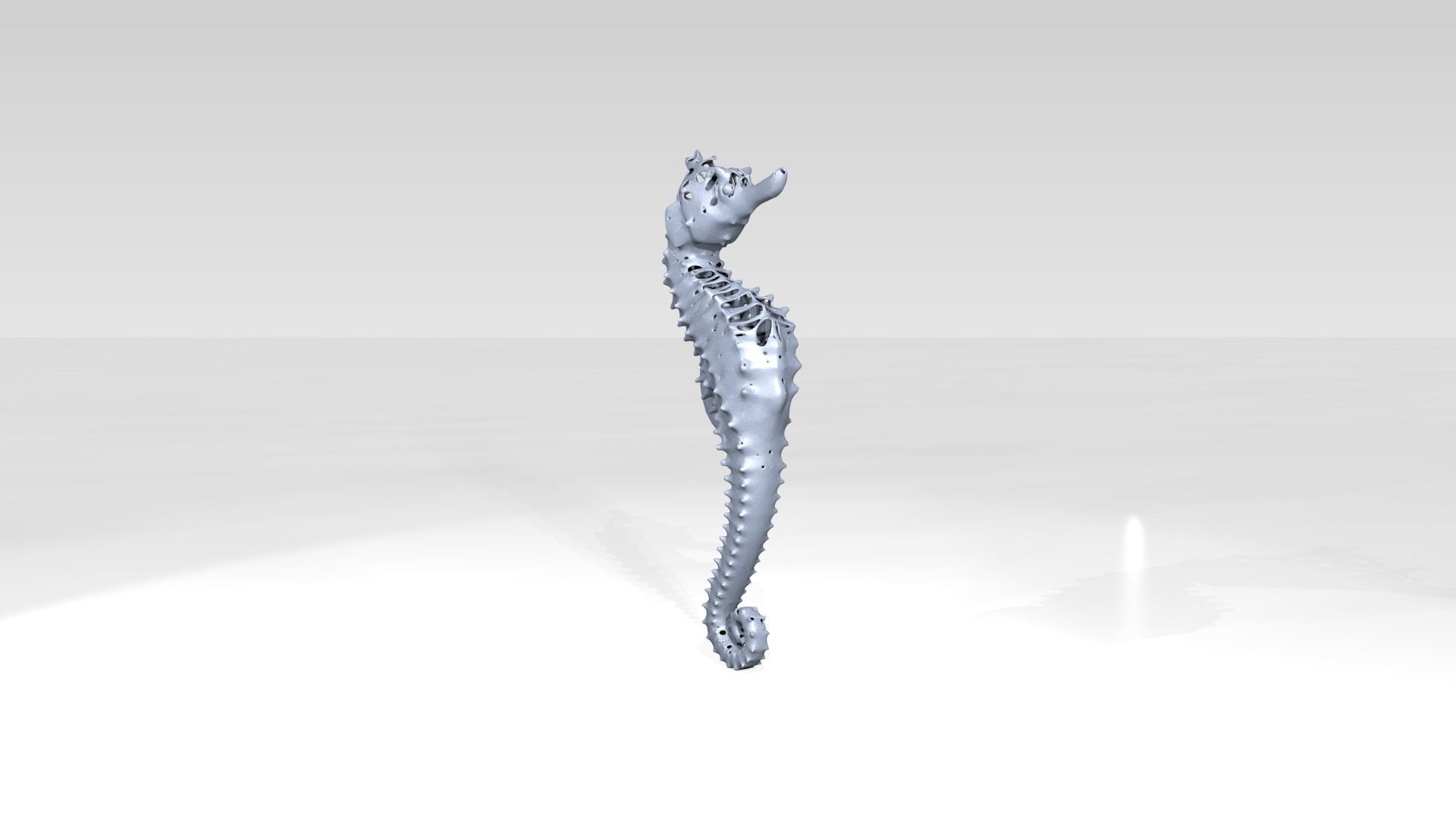 Seahorse Dust Voronoi 3D model_2