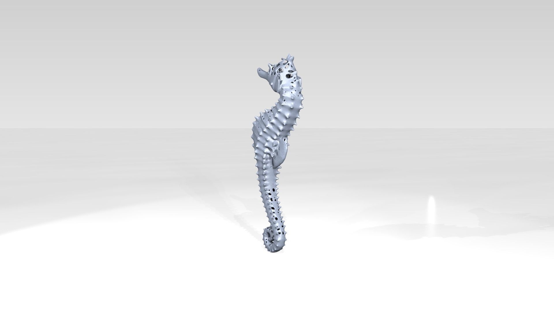 Seahorse Dust Voronoi 3D model_4