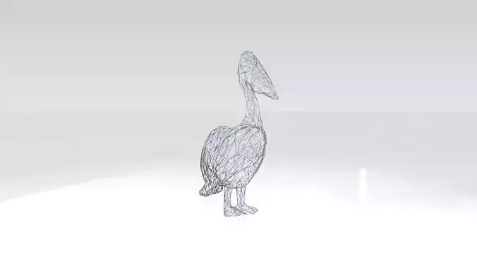 Pelican Wireframe