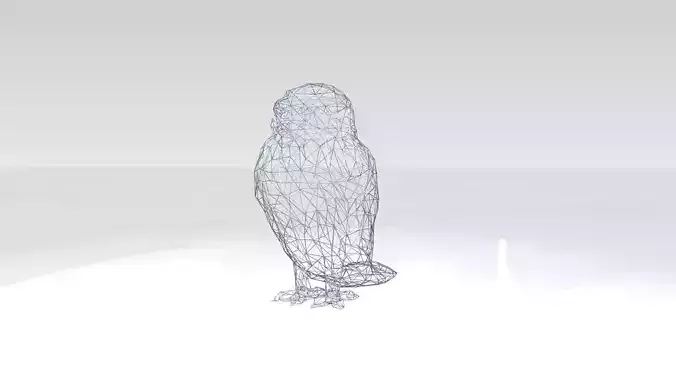 Owl Wireframe