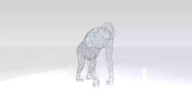 Orangutan Wireframe