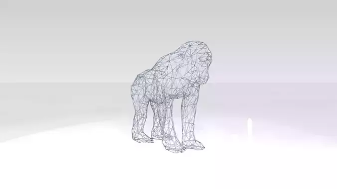 Monkey Wireframe