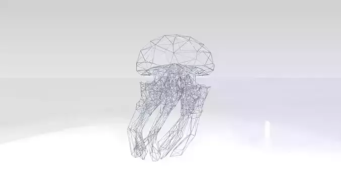 Jellyfish Wireframe