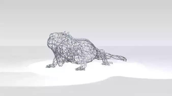 Iguana Wireframe