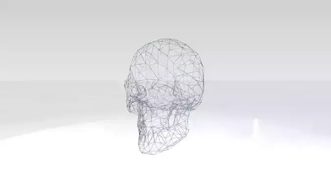 Skull Wireframe 3D model