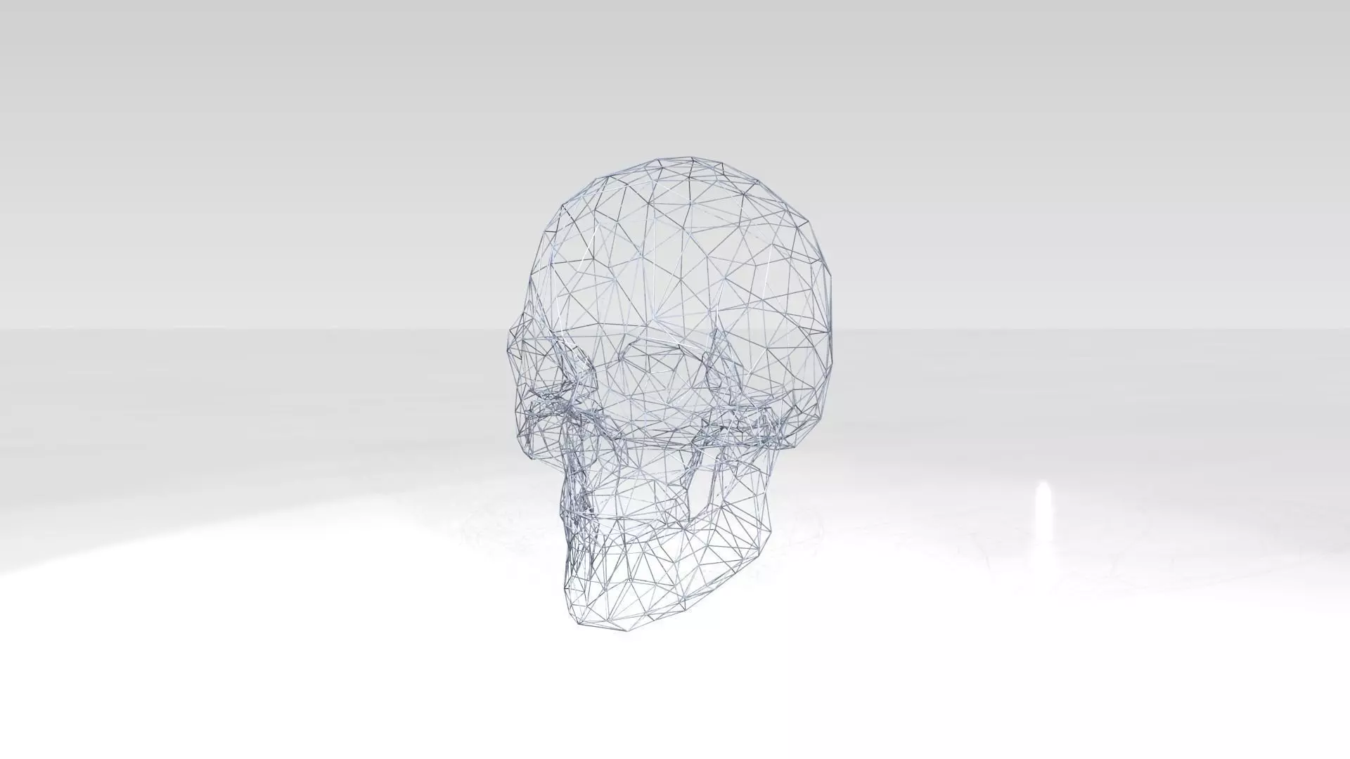 Skull Wireframe 3D model_0