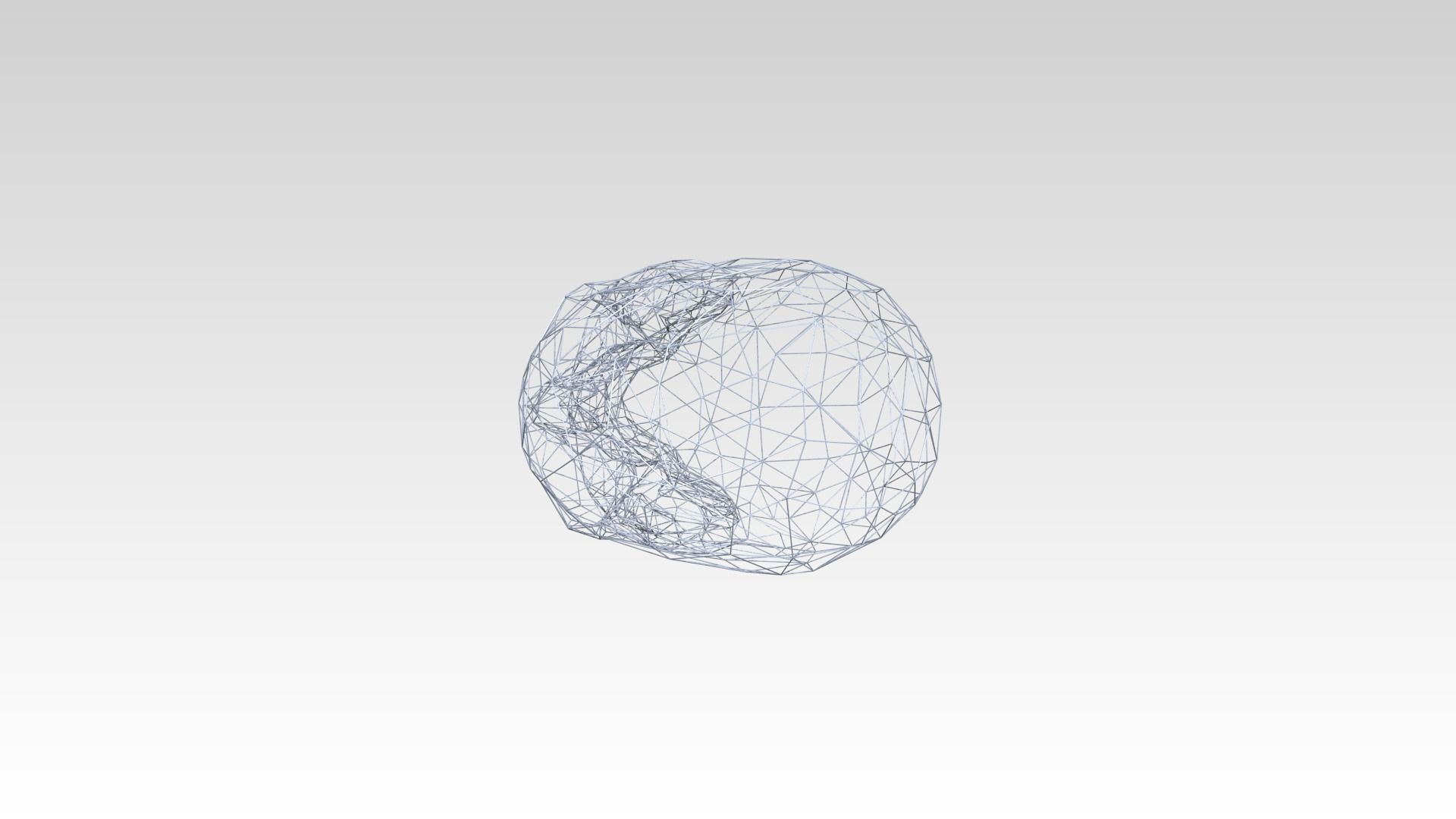 Skull Wireframe 3D model_5