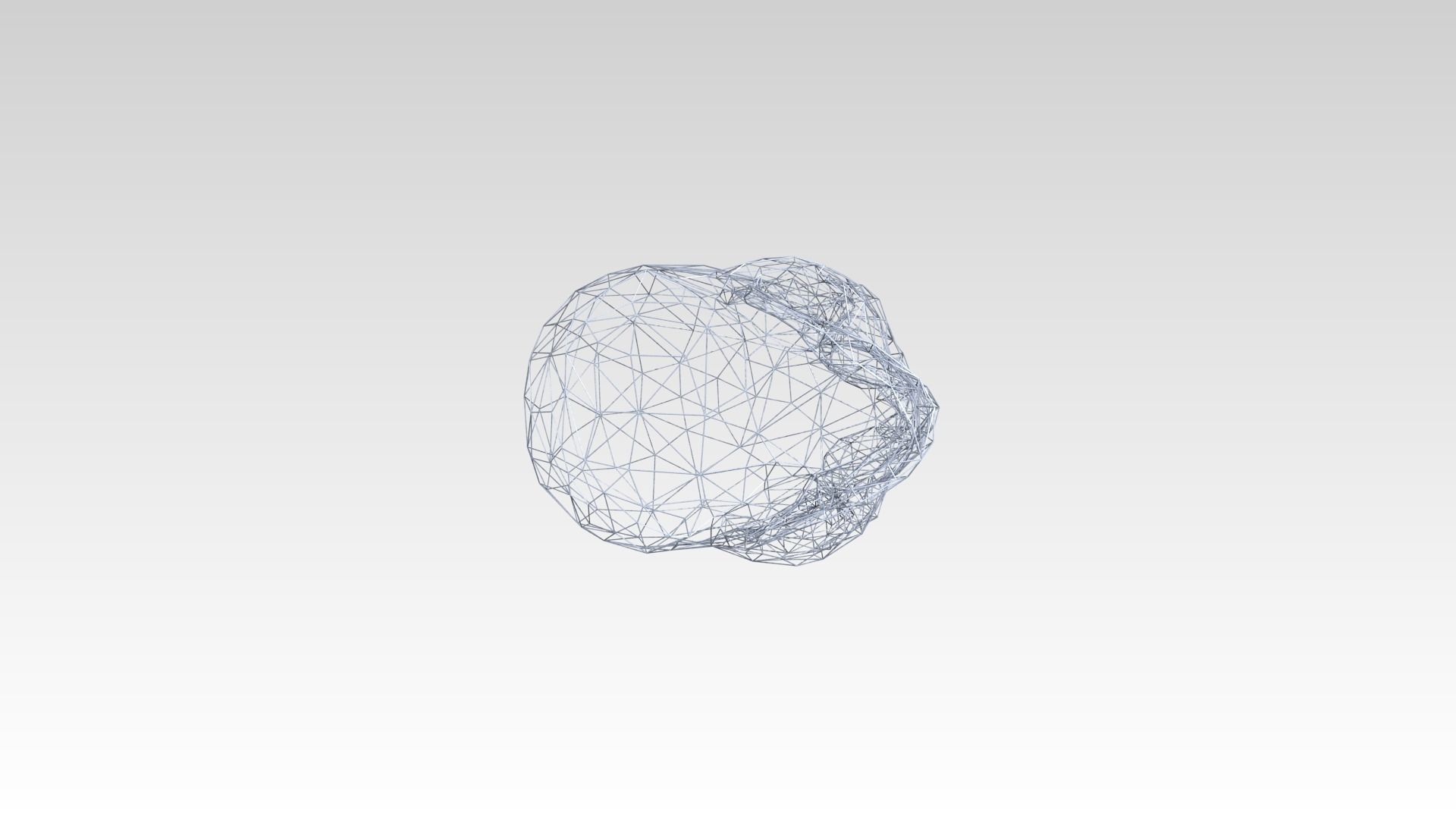 Skull Wireframe 3D model_6