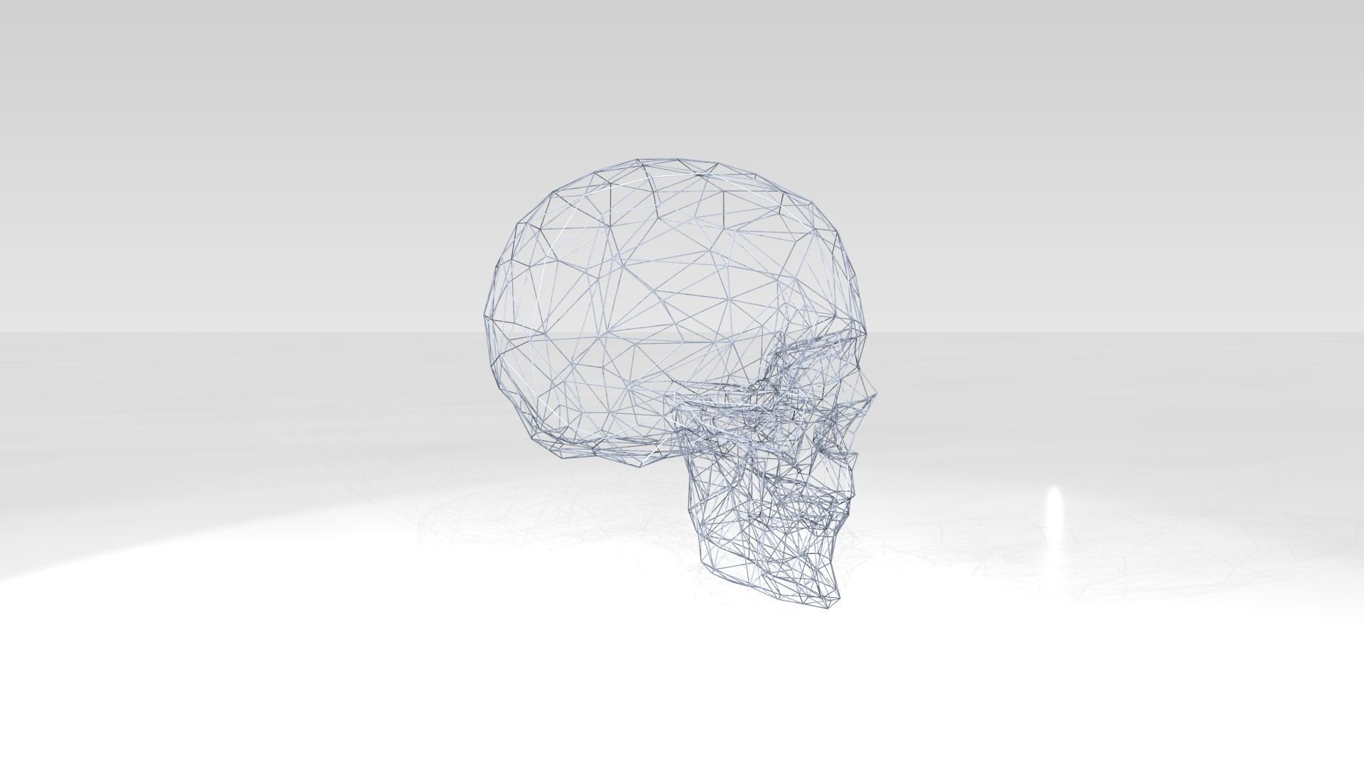 Skull Wireframe 3D model_2