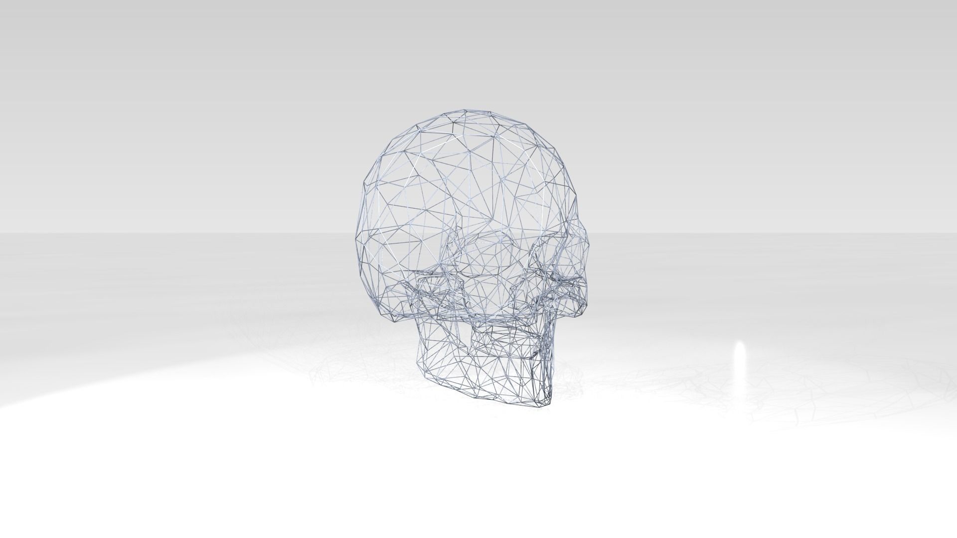 Skull Wireframe 3D model_3
