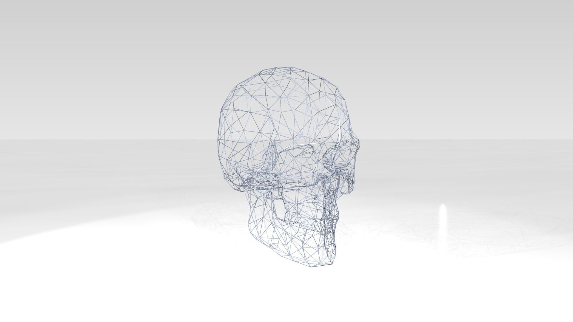 Skull Wireframe 3D model_1