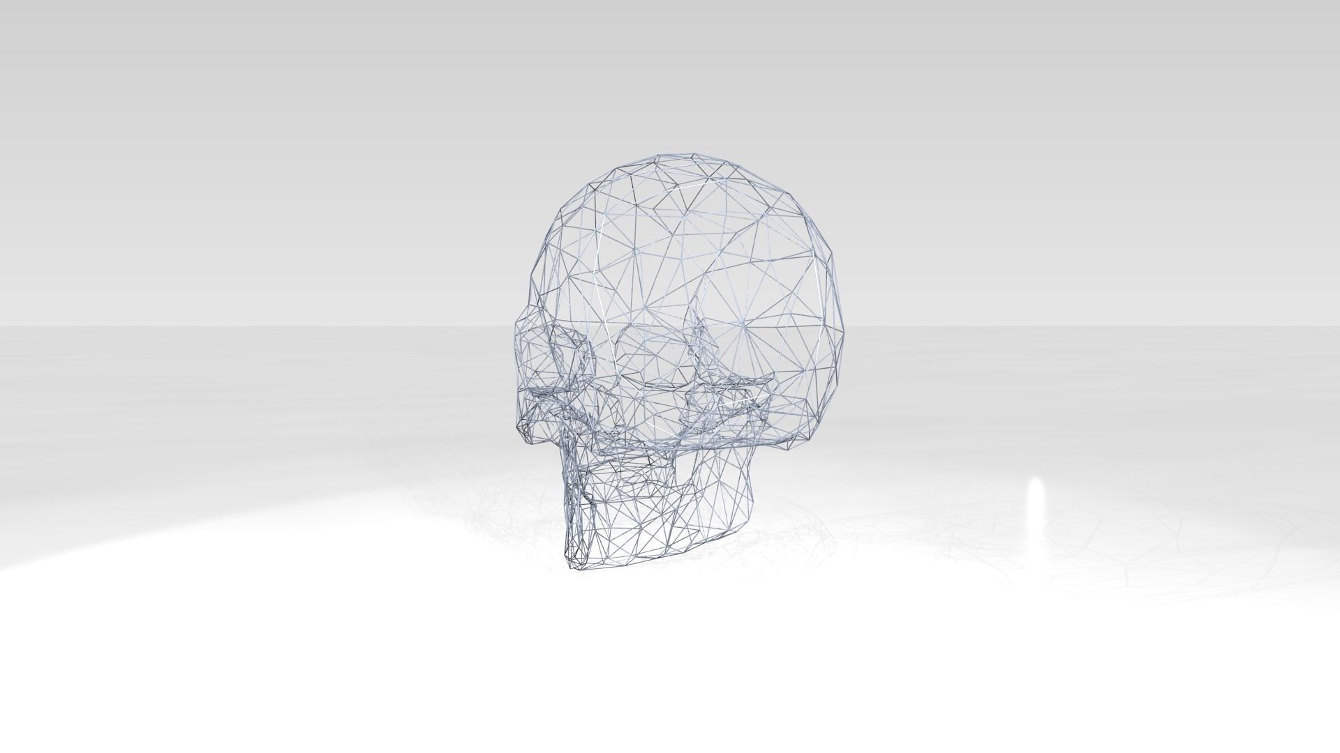 Skull Wireframe 3D model_4
