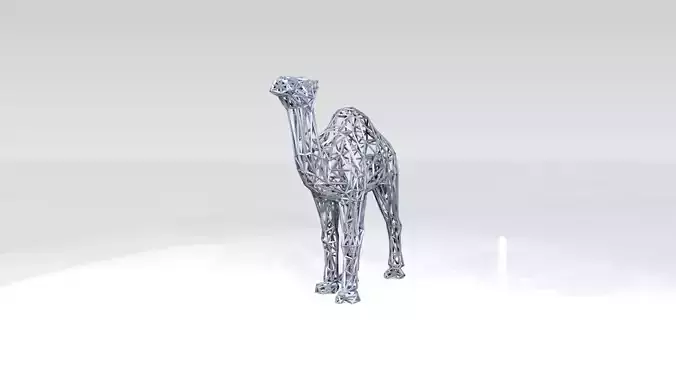 Dromedary Wireframe