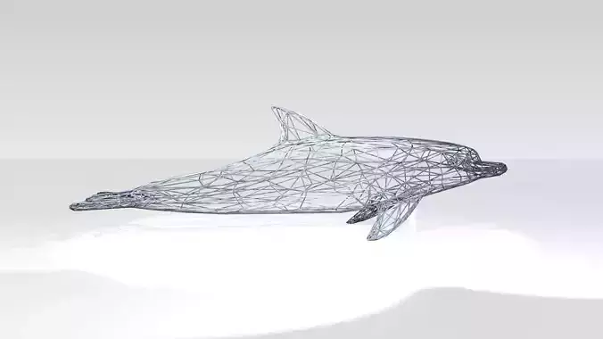 Dolphin Wireframe
