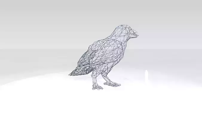 Crow Wireframe