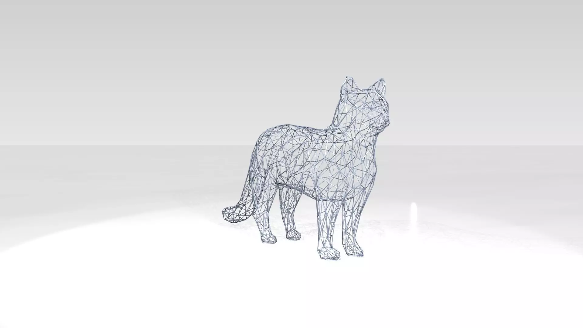 Cat Wireframe 3D model