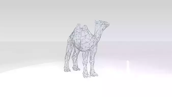 Camel Wireframe