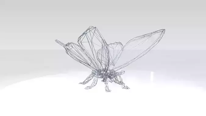 Butterfly Wireframe