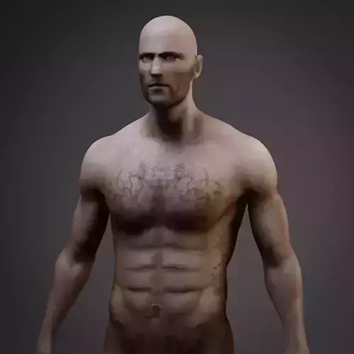 Anatomy and Skin Study 3D model