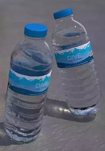 Real Water Bottle 25 Cl