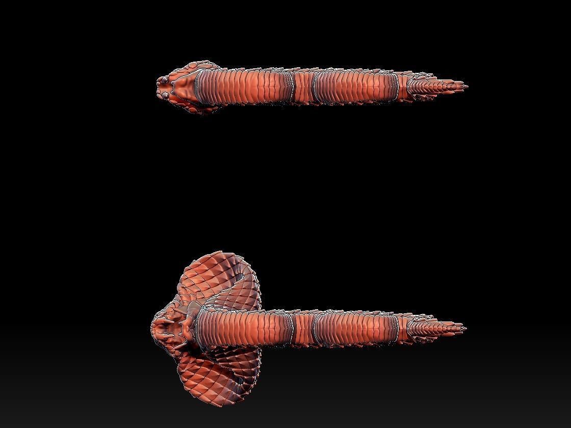 Cobra Snake 3D print model_7