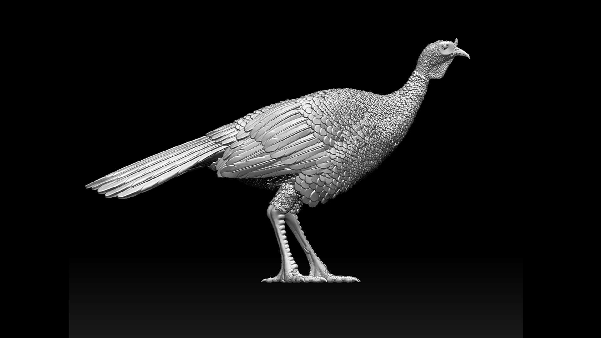 Turkey thanksgiving 3D print model_17