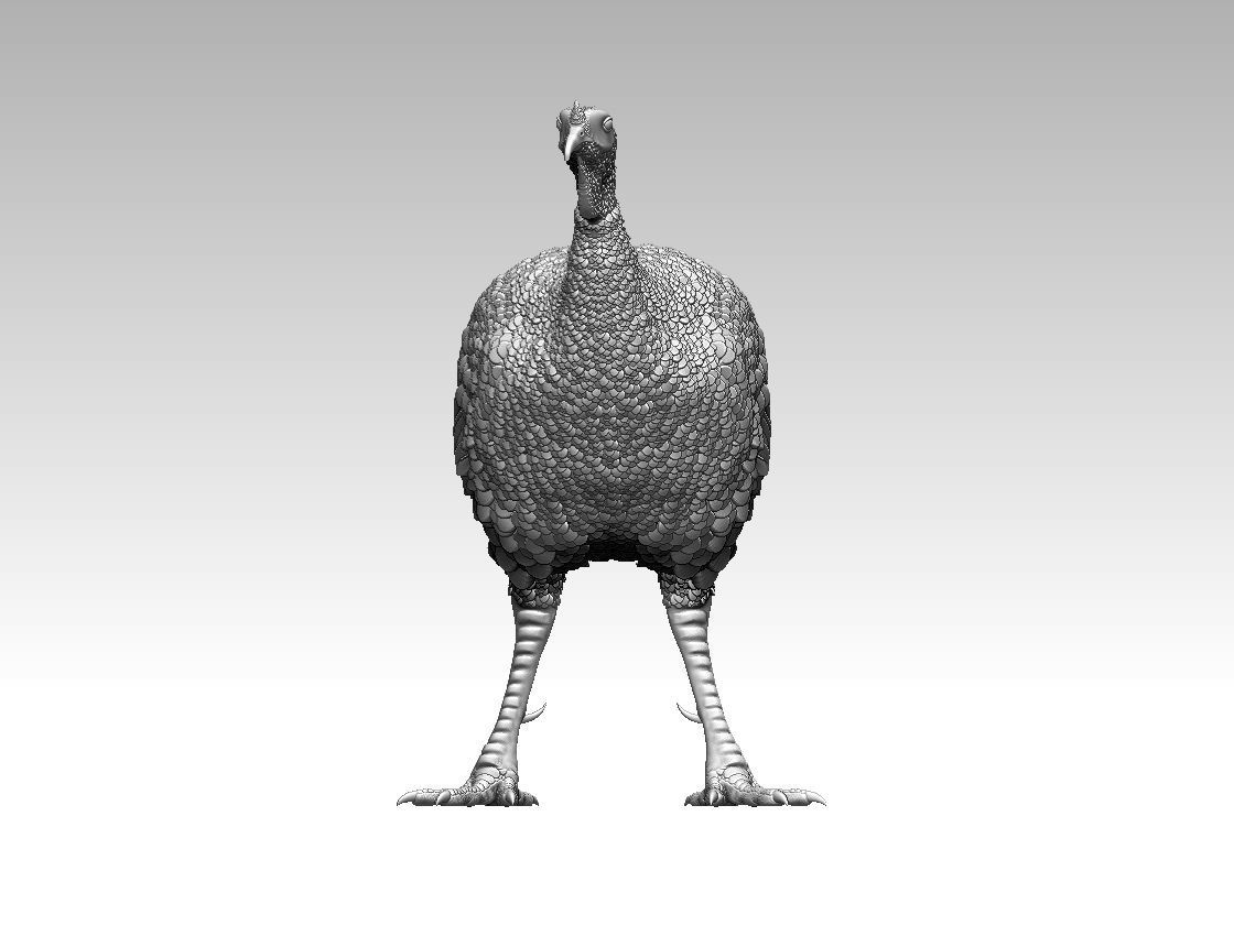 Turkey thanksgiving 3D print model_68