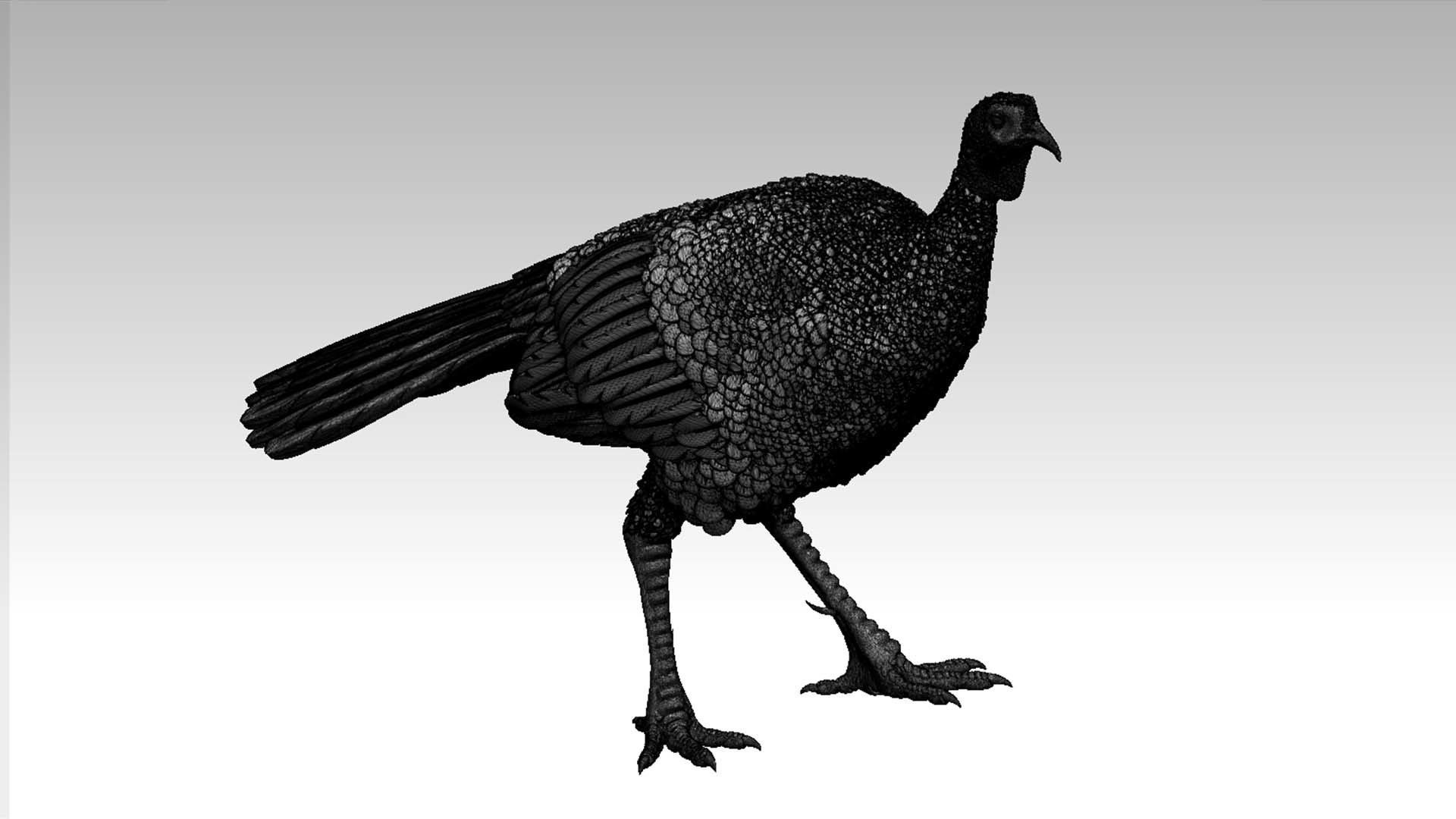 Turkey thanksgiving 3D print model_12