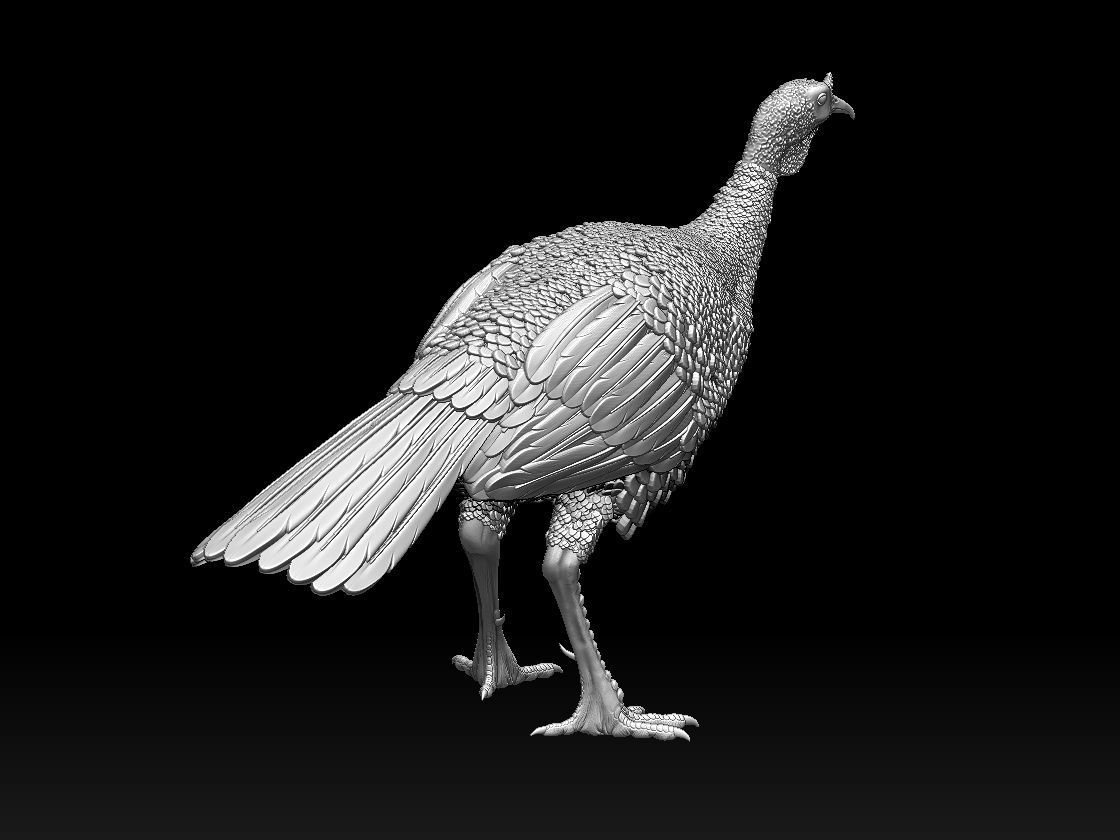 Turkey thanksgiving 3D print model_3