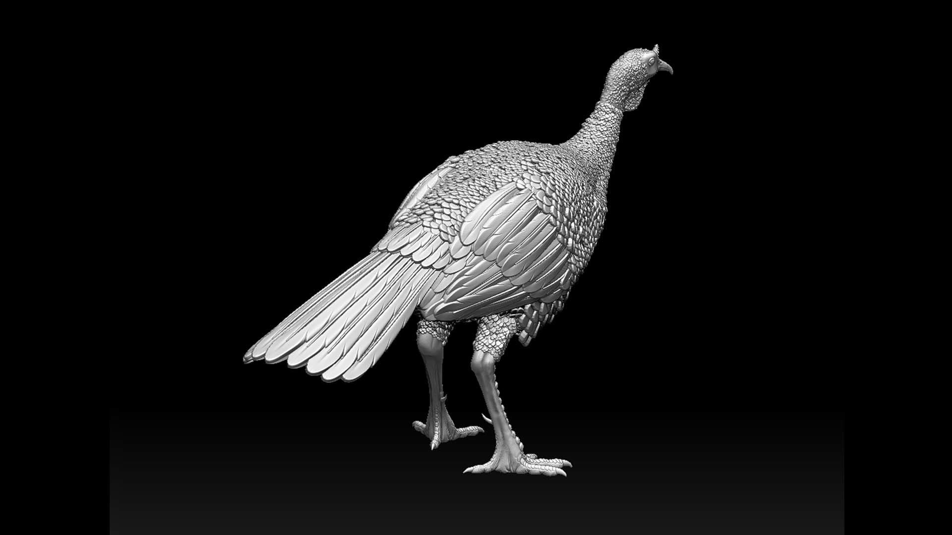 Turkey thanksgiving 3D print model_29