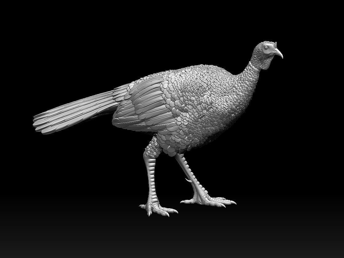 Turkey thanksgiving 3D print model_42