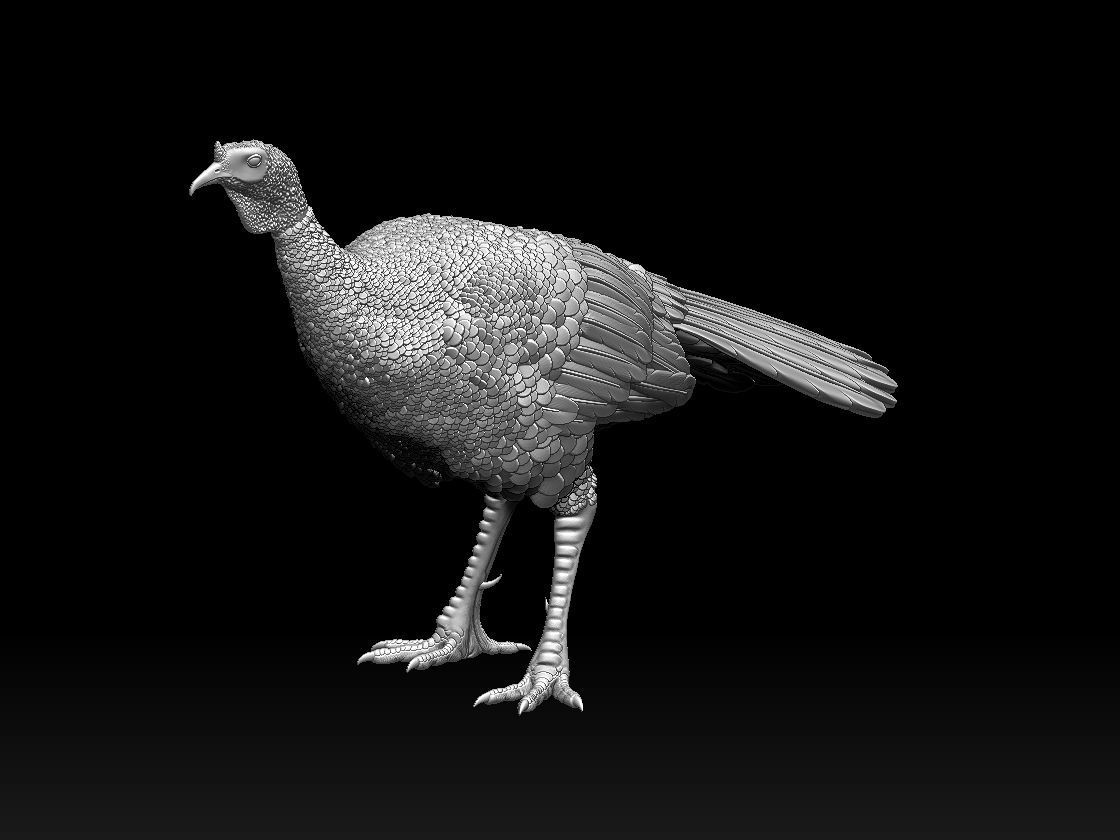 Turkey thanksgiving 3D print model_37