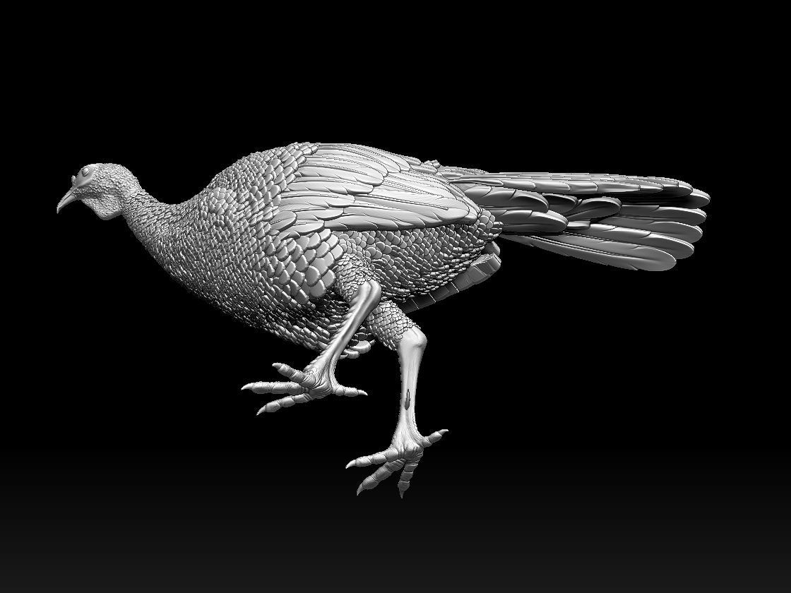 Turkey thanksgiving 3D print model_4