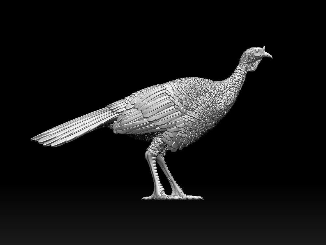 Turkey thanksgiving 3D print model_56