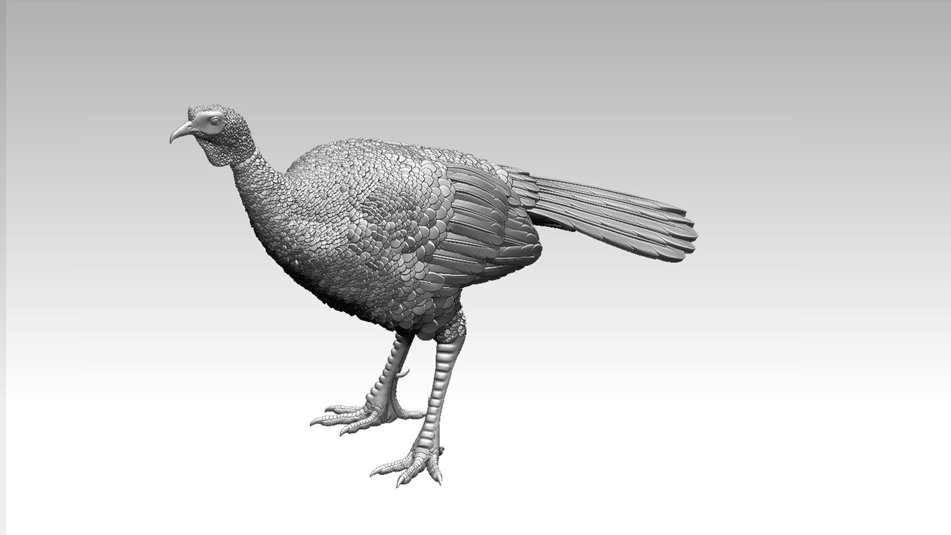 Turkey thanksgiving 3D print model_15