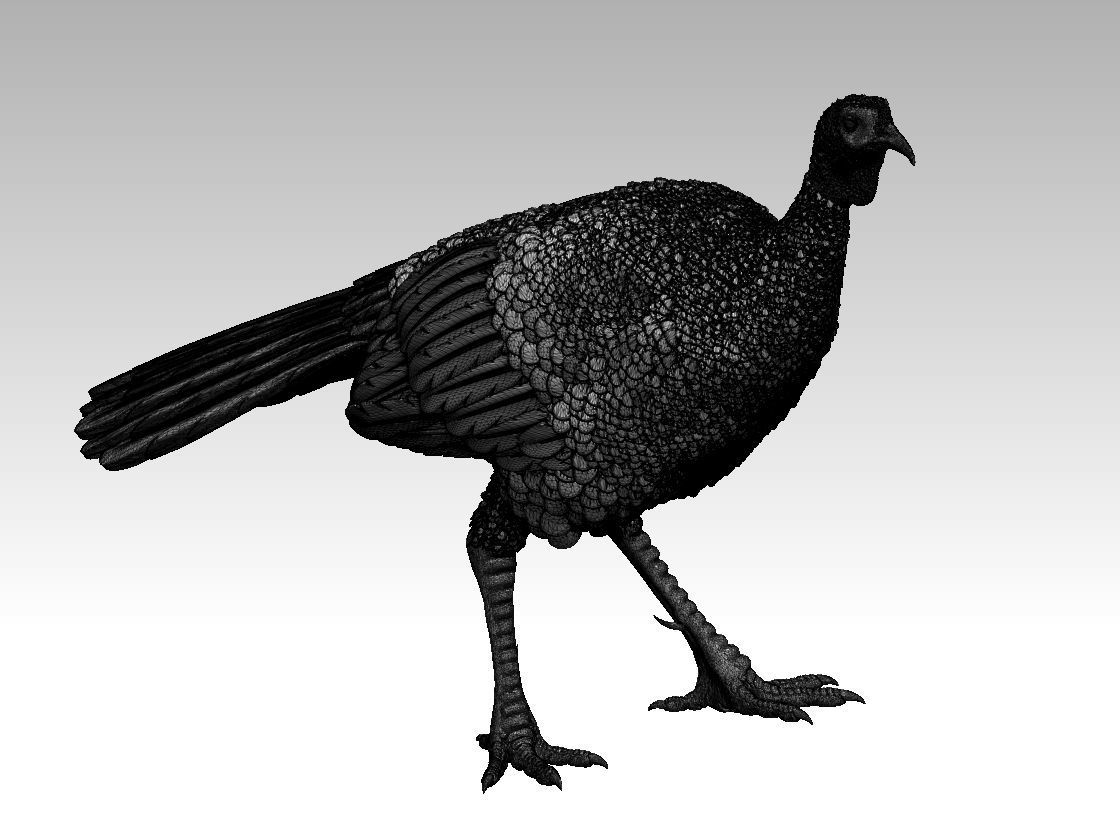 Turkey thanksgiving 3D print model_58