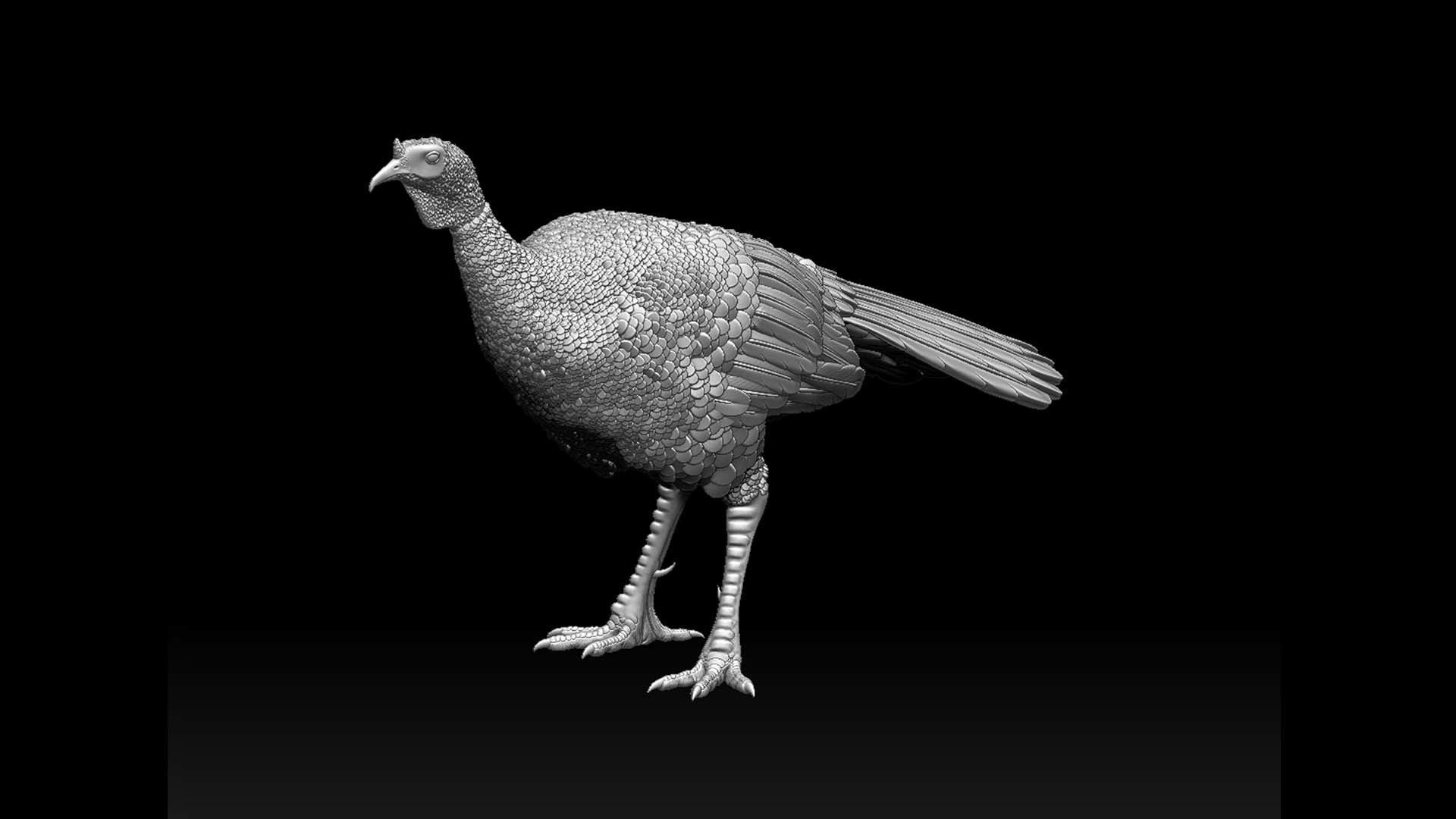 Turkey thanksgiving 3D print model_33