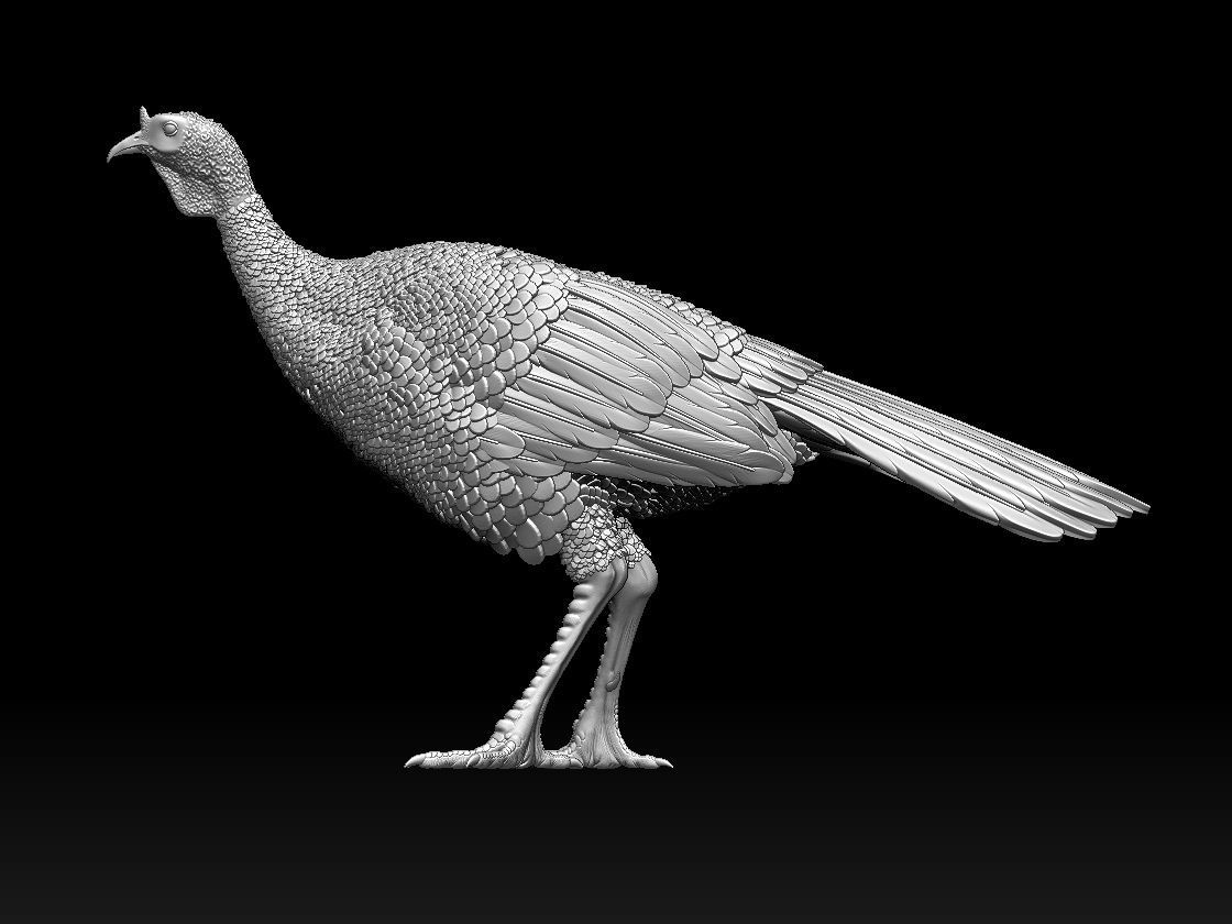 Turkey thanksgiving 3D print model_49