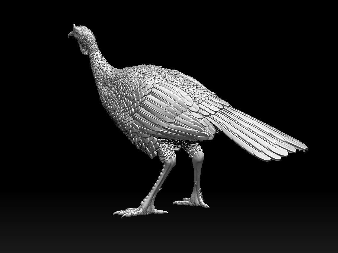 Turkey thanksgiving 3D print model_25