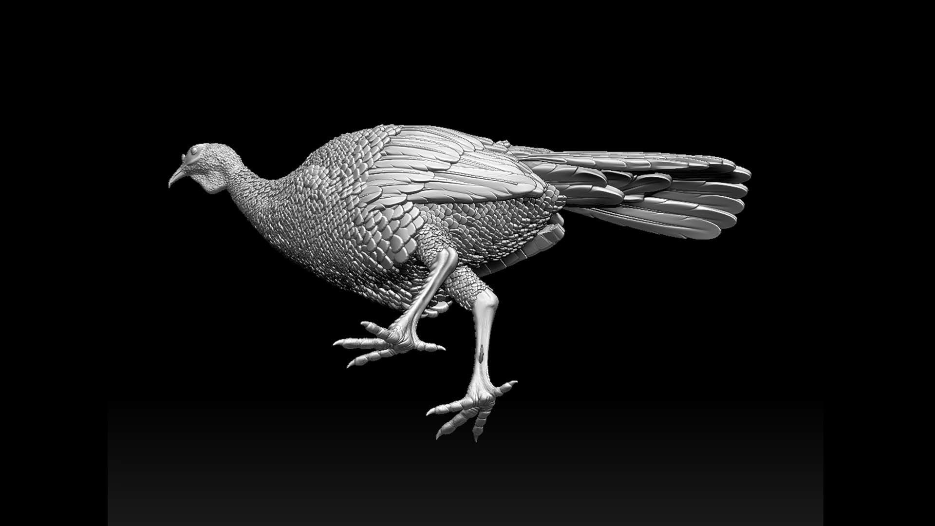 Turkey thanksgiving 3D print model_54